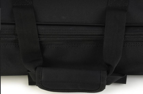 Preview: Temple Audio Design DUO-24-SC Duo 24 SC Softcase